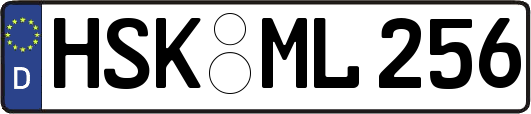 HSK-ML256