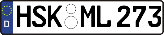 HSK-ML273