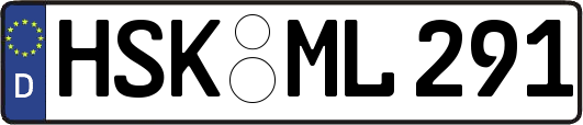 HSK-ML291
