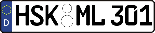 HSK-ML301