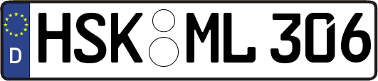 HSK-ML306