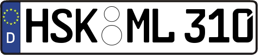 HSK-ML310