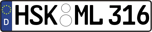 HSK-ML316