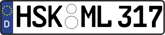 HSK-ML317