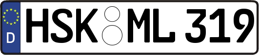 HSK-ML319