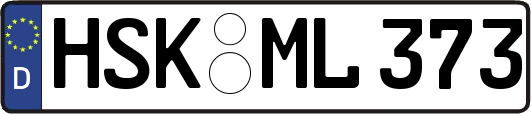 HSK-ML373