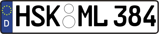 HSK-ML384