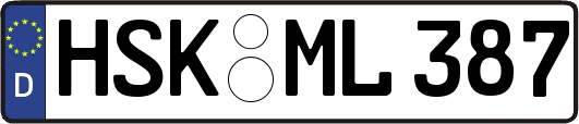 HSK-ML387