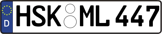 HSK-ML447