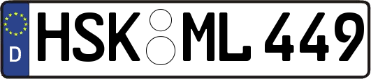 HSK-ML449