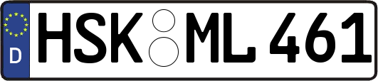 HSK-ML461