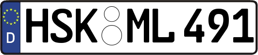 HSK-ML491