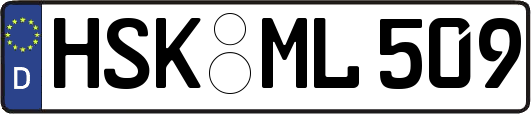HSK-ML509