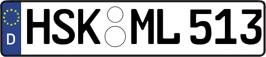 HSK-ML513