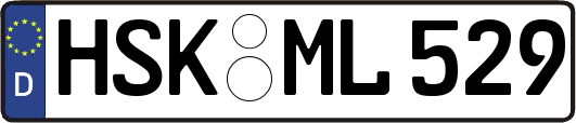 HSK-ML529