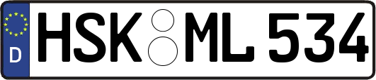 HSK-ML534