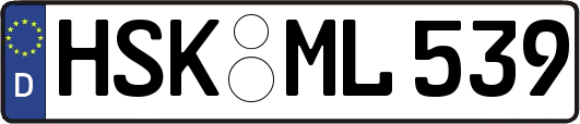 HSK-ML539