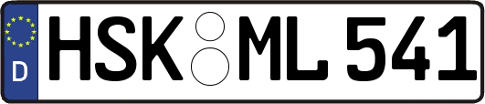 HSK-ML541