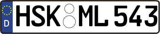 HSK-ML543