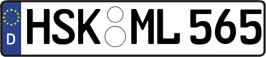 HSK-ML565