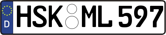 HSK-ML597