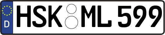 HSK-ML599