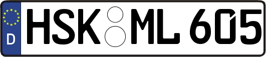 HSK-ML605