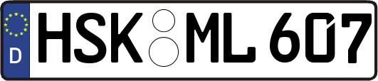 HSK-ML607
