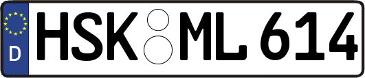 HSK-ML614