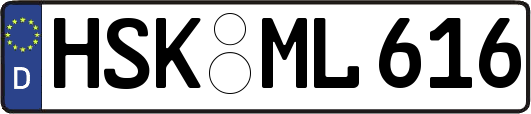 HSK-ML616