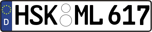 HSK-ML617