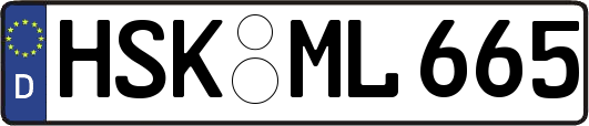 HSK-ML665