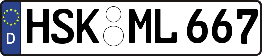 HSK-ML667