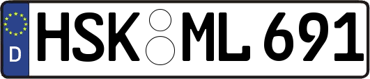 HSK-ML691