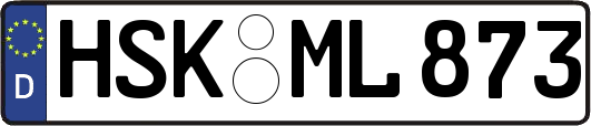HSK-ML873