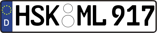 HSK-ML917