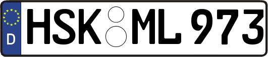 HSK-ML973