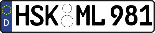 HSK-ML981