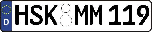 HSK-MM119