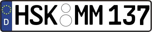 HSK-MM137