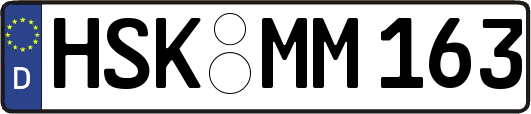 HSK-MM163