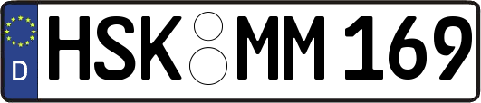 HSK-MM169