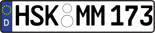HSK-MM173