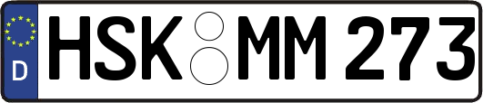 HSK-MM273