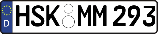 HSK-MM293