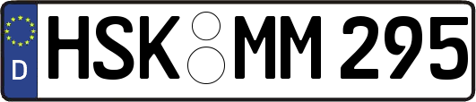HSK-MM295