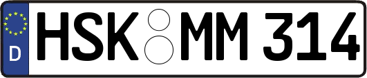 HSK-MM314