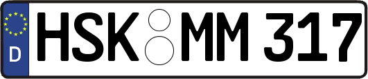 HSK-MM317