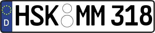 HSK-MM318