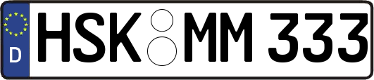 HSK-MM333